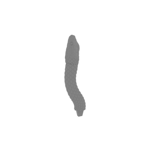 10_snake_8_FDM(repaired).stl