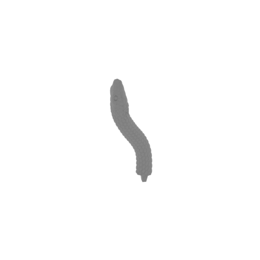 12_snake_10_FDM(repaired).stl
