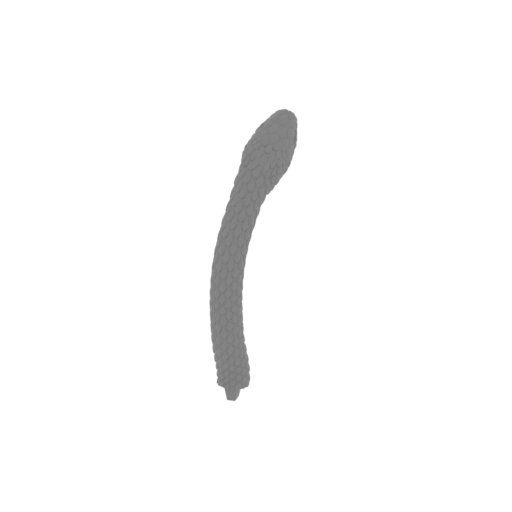 22_snake_20_FDM(repaired).stl