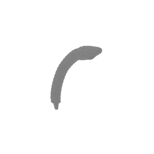37_snake_35_FDM(repaired).stl