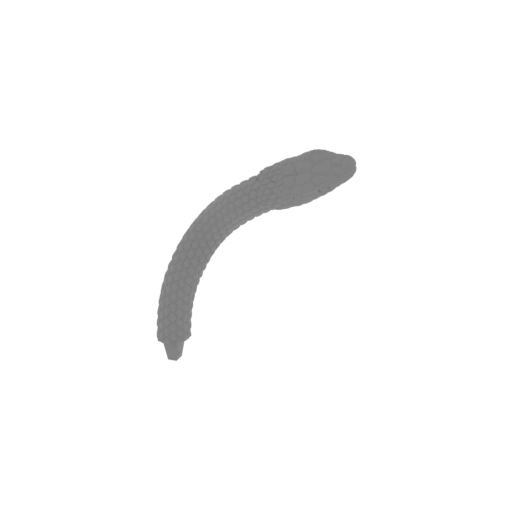 27_snake_25_FDM(repaired).stl