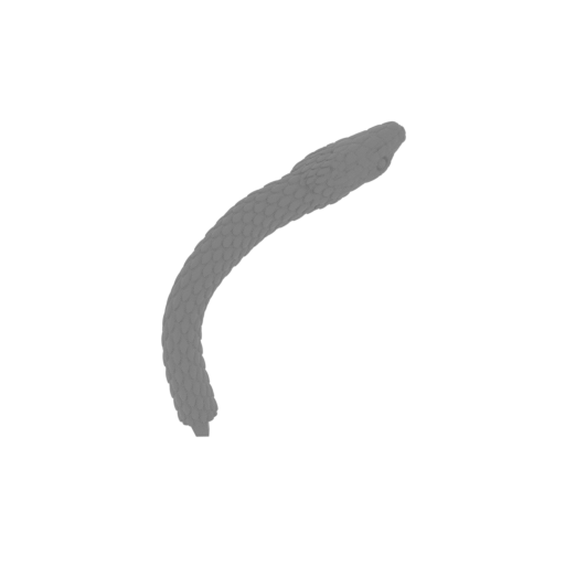 17_snake_15_FDM(repaired).stl