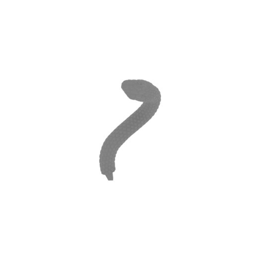 8_snake_6_FDM(repaired).stl