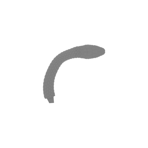 3_snake_1_FDM(repaired).stl
