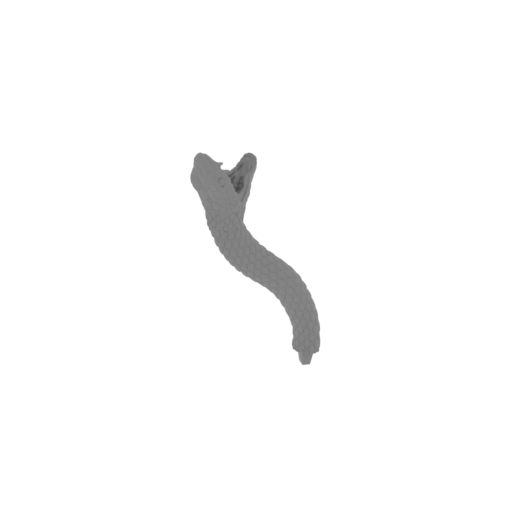 4_snake_2_FDM(repaired).stl