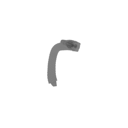 14_snake_12_FDM(repaired).stl