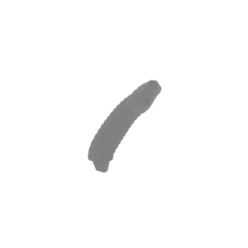 21_snake_19_FDM(repaired).stl