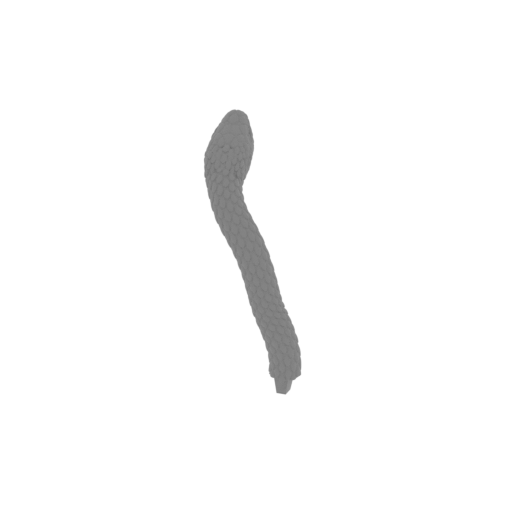 16_snake_14_FDM(repaired).stl