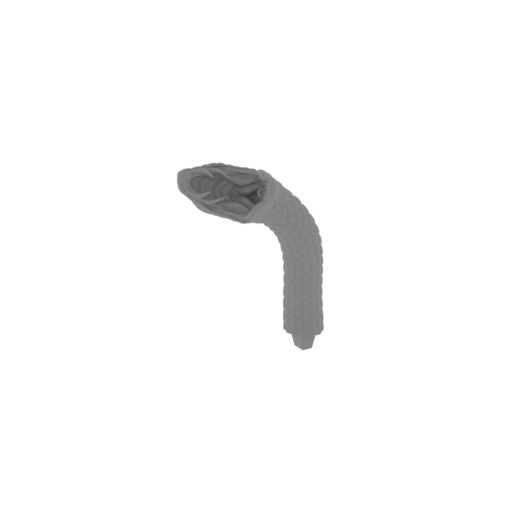 32_snake_30_FDM(repaired).stl
