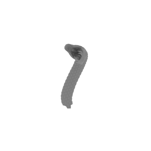 13_snake_11_FDM(repaired).stl