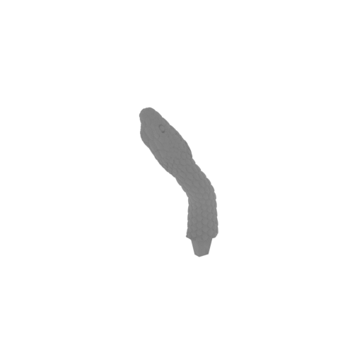 35_snake_33_FDM(repaired).stl