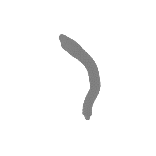28_snake_26_FDM(repaired).stl