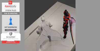 Two action figure models with bat-like armor, one white and one black with red details, on a display surface.