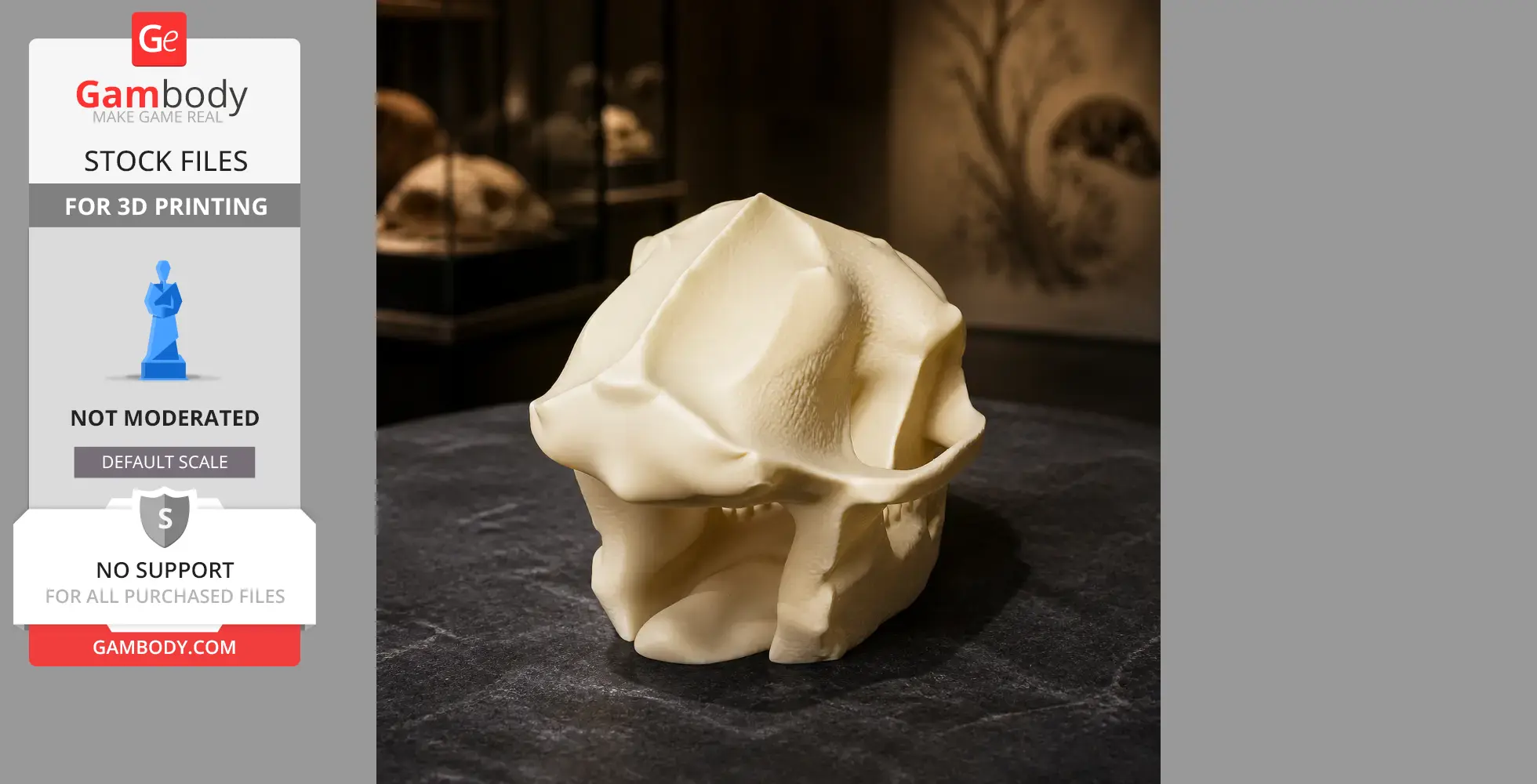 Aegyptopithecus Skull - Skull Replica STL