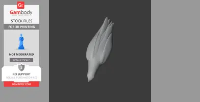 3D model of an African Grey Parrot, elongated with its wings folded, ideal for 3D printing.