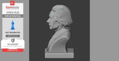 3D-printed bust of a famous physicist with warrior armor, detailed and ready for 3D printing.