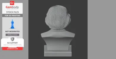 A 3D bust model of a person with detailed textured hair, viewed from the back, designed for printing.