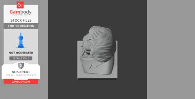 3D bust of Albert Einstein designed as a historical warrior, viewed from above.