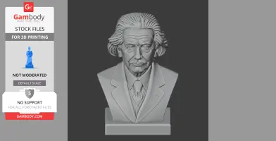 3D model of an elderly man, possibly styled as a warrior, with distinctive hair and attire.