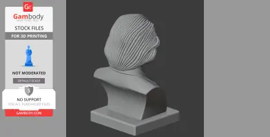 A 3D model bust of Albert Einstein with warrior-like draped back hair on a rectangular base.