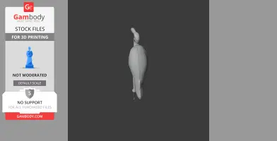 American Flamingo - Prehistoric Animal STL