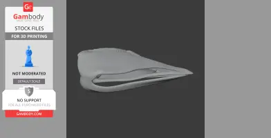 3D model of an Aepyornis maximus skull, showing detailed bone structure for printing.