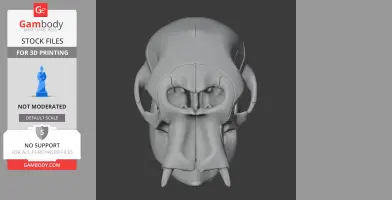 African Elephant Skull - Skull Replica STL