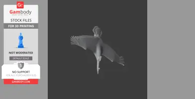 A 3D model of an American White Pelican in flight, wings outstretched.