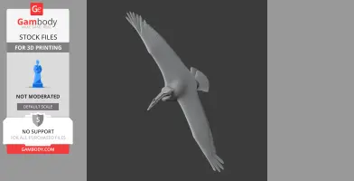 3D model of an American White Pelican in flight, wings extended for 3D printing.