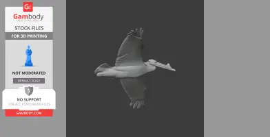 3D model of a soaring American White Pelican, wings outstretched, detailed for printing.