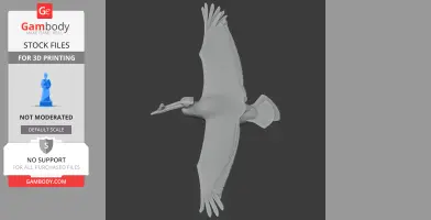 3D model of a flying American White Pelican, wings outstretched, viewed from above.