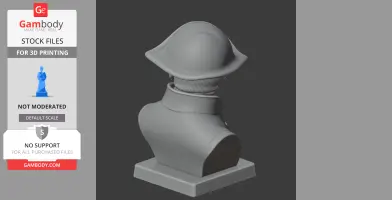 A 3D printed bust of a figure in historical armor with a wide-brimmed helmet on a square base.