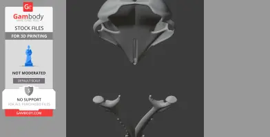 Agile Antechinus Skull - Skull Replica STL