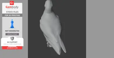 Atlantic Puffin - Prehistoric Animal STL