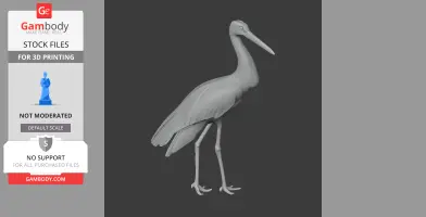 Black Stork - Prehistoric Animal STL
