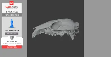 Agile Wallaby Skull - Skull Replica STL