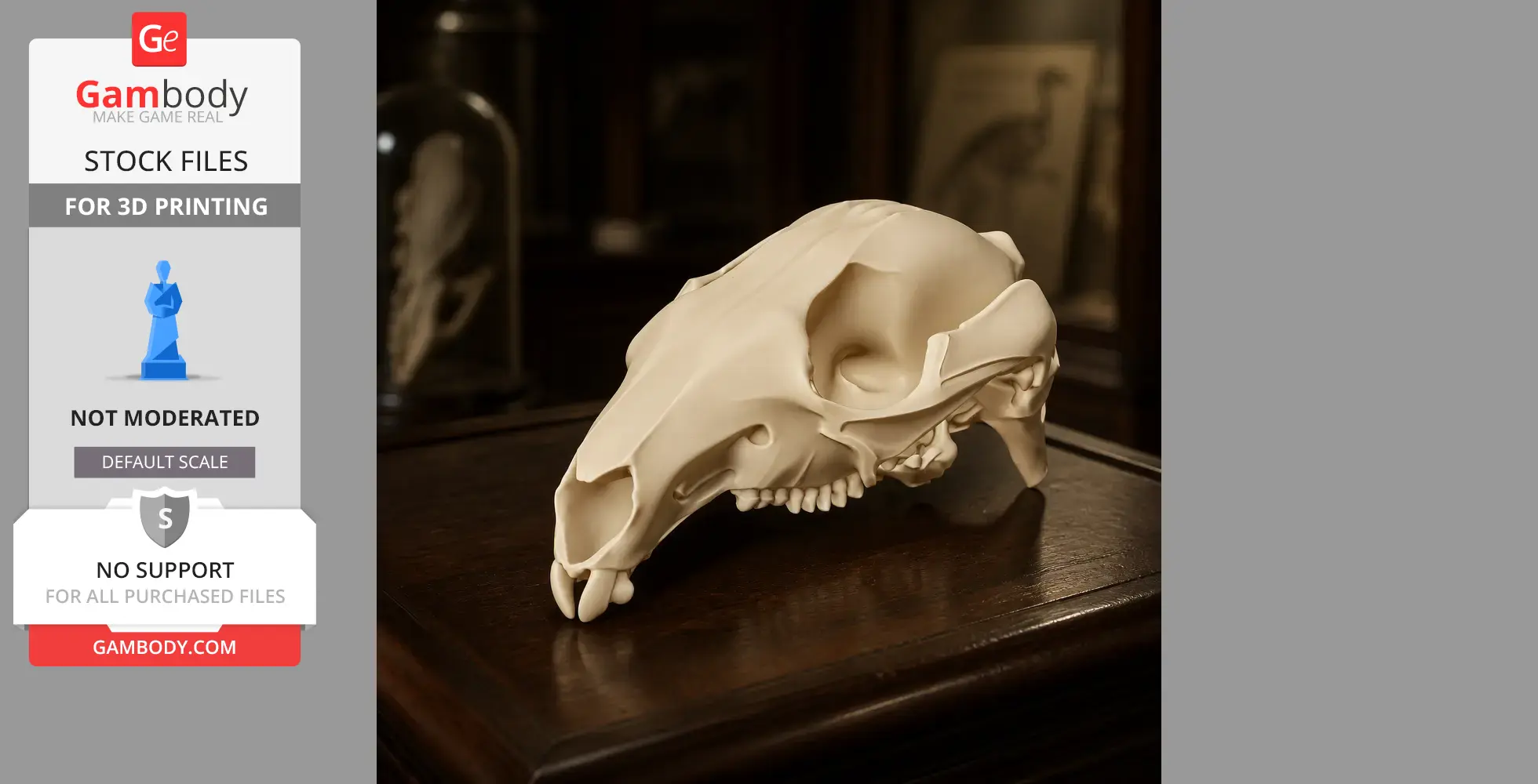Agile Wallaby Skull - Skull Replica STL
