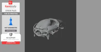 Agile Wallaby Skull - Skull Replica STL