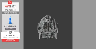 Agile Wallaby Skull - Skull Replica STL