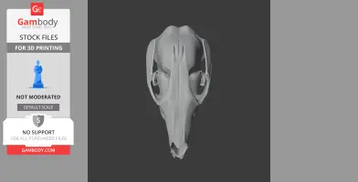 Agile Wallaby Skull - Skull Replica STL