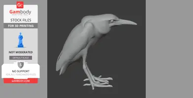 Black-crowned Night Heron - Prehistoric Animal STL