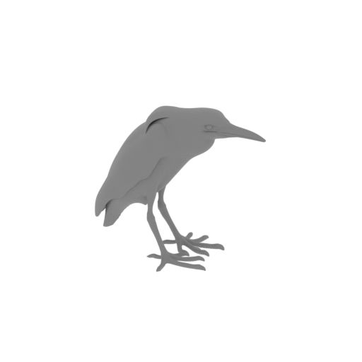 Black-crowned Night Heron.stl