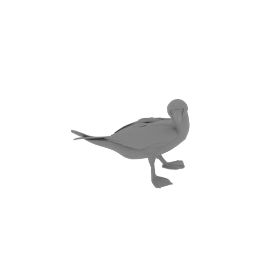 Blue-footed Booby.stl