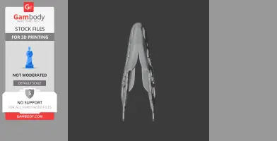 Alcovasaurus Skull - Skull Replica STL
