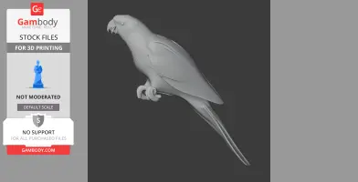 Blue-fronted Amazon - Prehistoric Animal STL