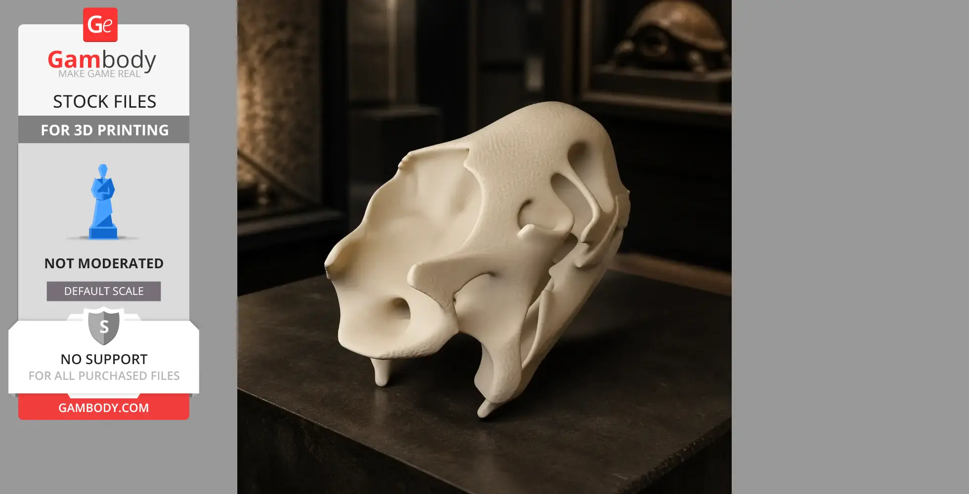 Aldabra Tortoise Skull - Skull Replica STL