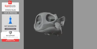 Aldabra Tortoise Skull - Skull Replica STL