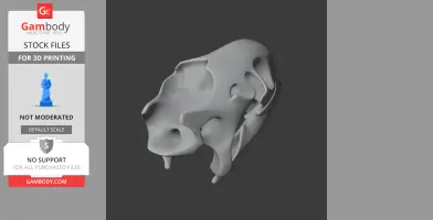 Aldabra Tortoise Skull - Skull Replica STL