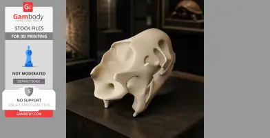 Aldabra Tortoise Skull - Skull Replica STL