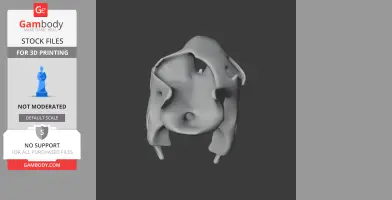 Aldabra Tortoise Skull - Skull Replica STL
